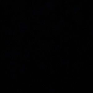 Meet your Posher, Coley